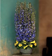 flower pot