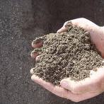 dirt