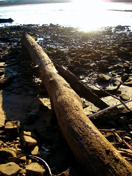 sticks_n_stones